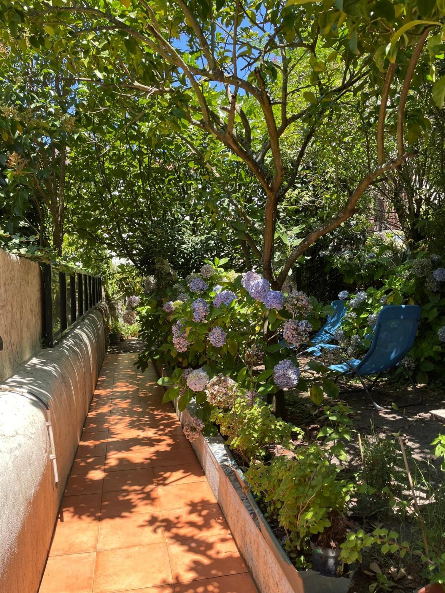 Апартаменты Casa Portugueza Experience Порту Экстерьер фото